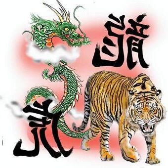 龍 虎